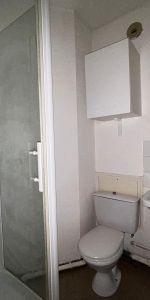 Location Appartement 1 pièce 15m² TOURS 37200 - Photo 4