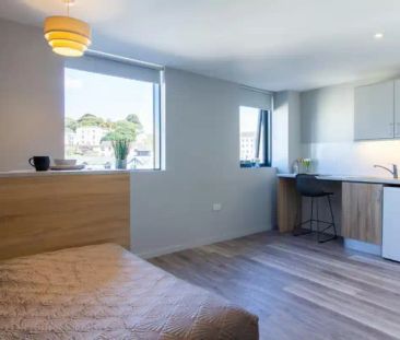 Deluxe Studio - Photo 3