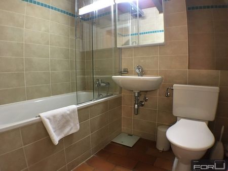 Various furnished apartments in residence in Carouge - Photo 5