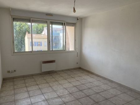 Studio 25 m² - 1 pièce - Perpignan (66000) - Photo 4