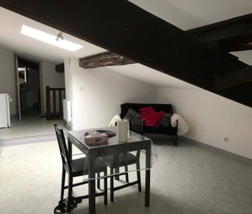 Location appartement 1 pièce 25.46 m² à Vienne (38200) - Photo 3