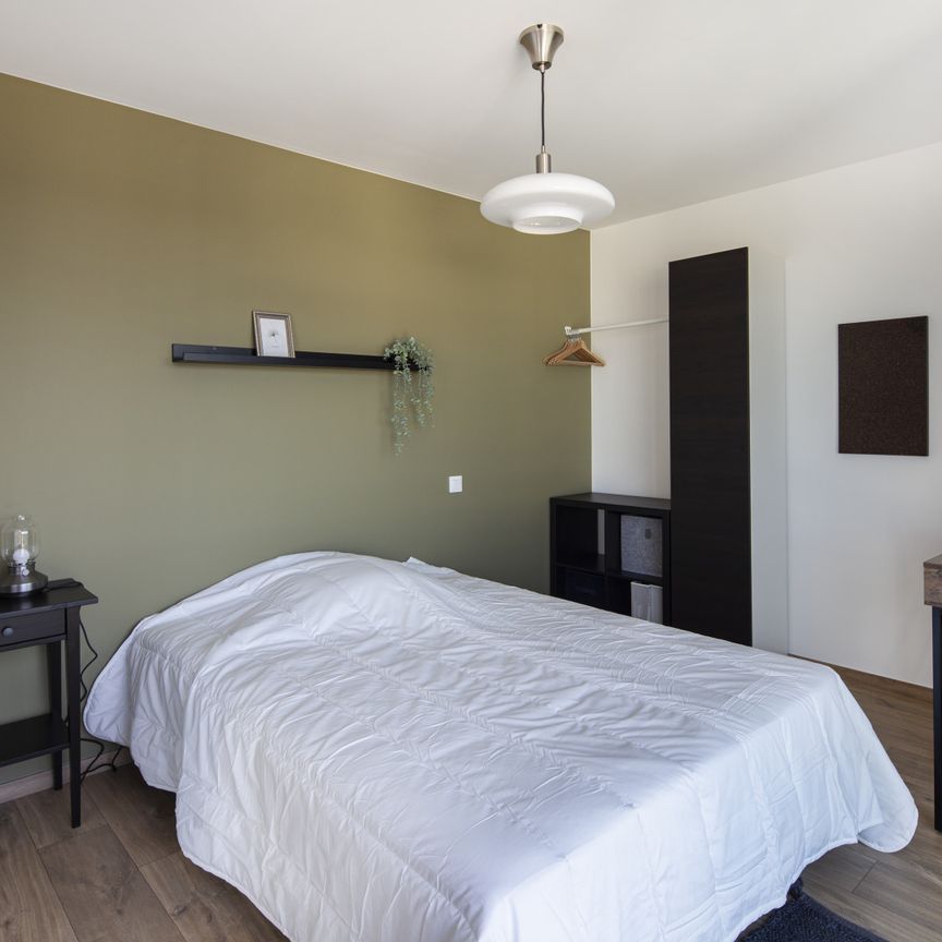 JEAN JAURES P Roommate 5 Bedrooms at Lyon 7e - Photo 1
