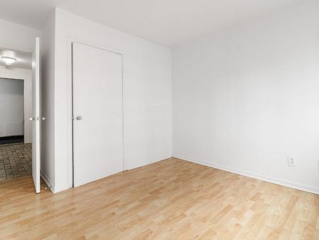 Studio - Photo 4