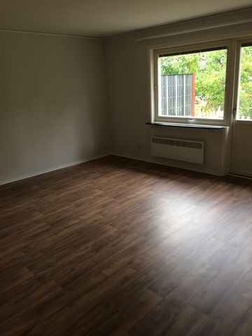 Adelswärdsvägen, Överum - Foto 2