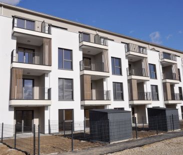 54,05qm 2Zi S-BalkonwohnungErstbezug, Ökologische Bauweise - Photo 5