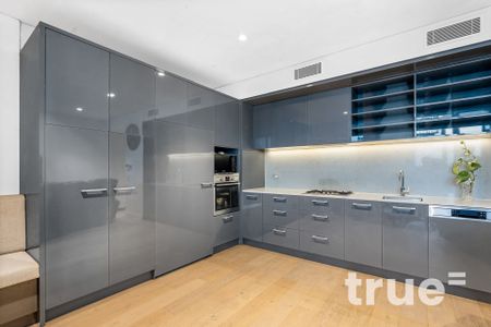 STUNNING CITY VIEWS = LUXURIOUS PENTHOUSE-STYLE APARTMENT IN THE HEART OF STRATHFIELD WITH EXPANSIVE ROOFTOP TERRACE - Photo 3