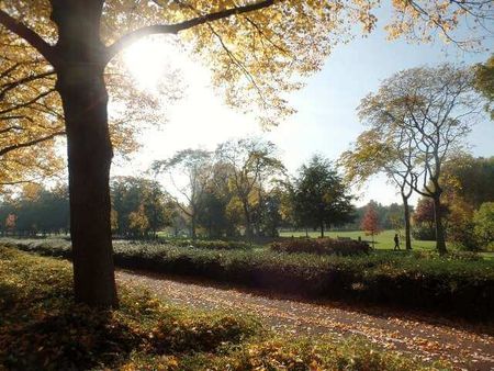 Statenweg, Rotterdam, Nederland - Foto 3