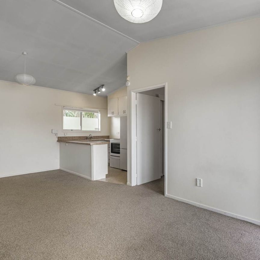 Bright one bedroom in Mt Eden - Photo 1