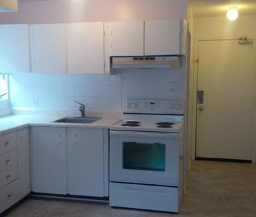 50 Bruyere Street - 3 - Photo 4