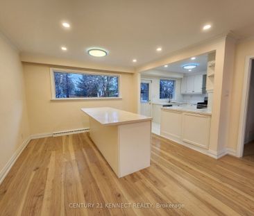 Detached Home For Lease | N8136684 - Photo 4