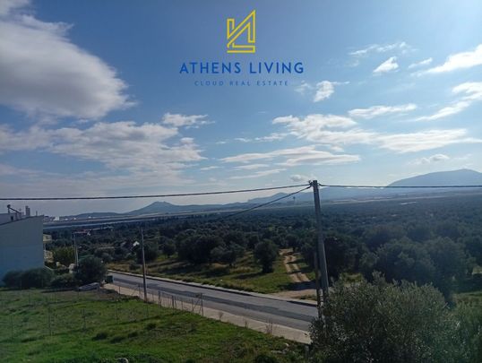 Μεζονέτα για ενοικίαση Σπάτα - Photo 1