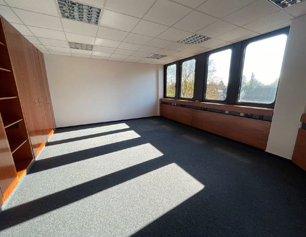 285 m² Büro- und Praxisflächen direkt an der B1 - Photo 1