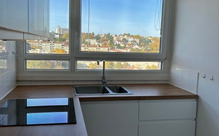 Appartement à louer 2 pièces • 47,96 m2 Fontenay-aux-Roses - Photo 4