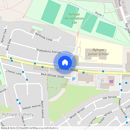 Western Hill, Sunderland SR2