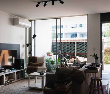 305/169 Phillip Street, Waterloo NSW 2017 - House For Rent | Domain - Photo 3