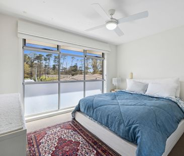 1/5 Allport Street, Downer ACT 2602 - House For Rent | Domain - Photo 2