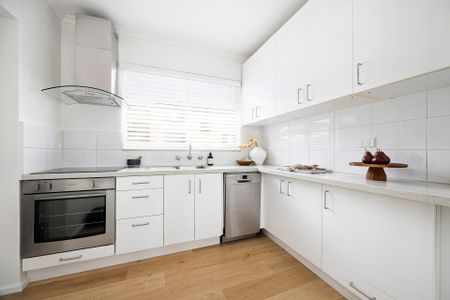 4/56 Oberon Street, Randwick - Photo 4