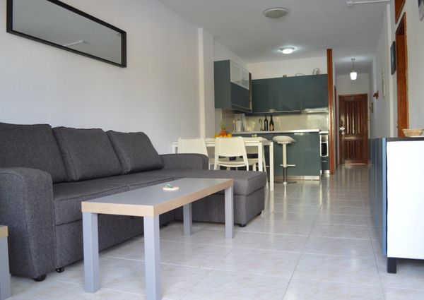 Ample Two Bedroom Apartment in Playa del Inglés