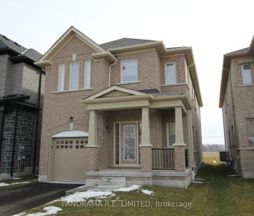 Detached Home For Lease | N8098122 - Photo 3