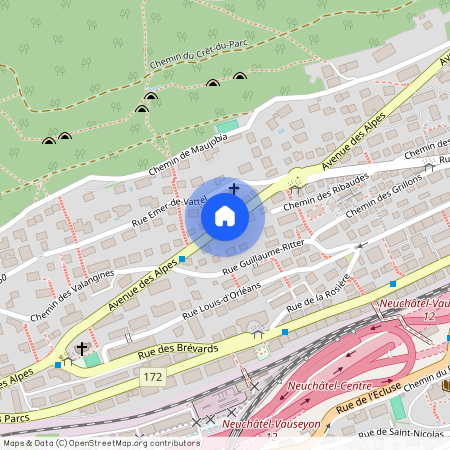 2000, Neuenburg, Avenue Des Alpes