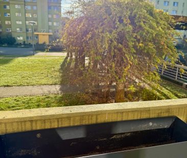 Wildermannstraße 22, 45659 Recklinghausen - Photo 5