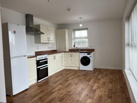 10 College Green, Moneymore Road, Magheraafelt, BT45 6AP - Photo 3