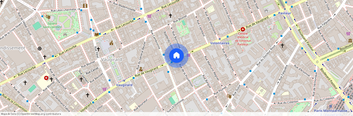 Rue de Vaugirard et Rue de la Procession 75015 Paris (15e arrondissement)