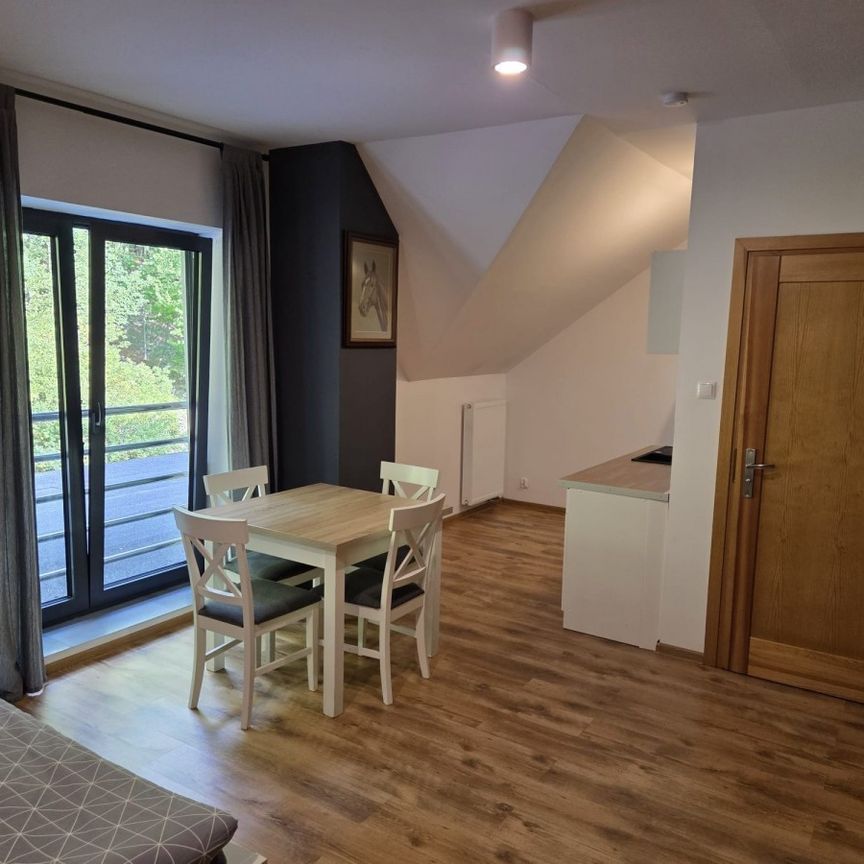 Przytulne mieszkanie 30 m2 na wynajem. - Фото 1