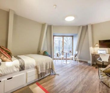 Deluxe Studio - Photo 1