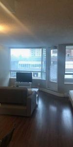 FURNISHED DOWNTOWN STUDIO - Photo 4