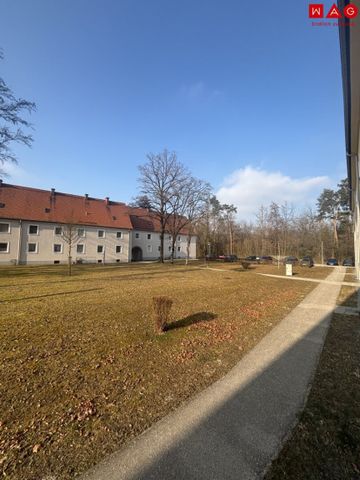 Einziehen und Wohlfühlen: neuwertig sanierte Traumwohnung in zentraler und dennoch ruhiger Lage! Genießen Sie das Leben in Steyr Münichholz in vollen Zügen! Ab sofort und provisionsfrei beziehbar! - Photo 3