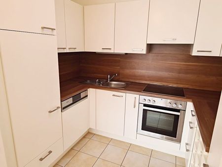 DACHGESCHOSS, FERNLICK, 95 m2 Neubau mit 22 m2 Freifläche, Wohnküche, 1 Zimmer, Wannenbad, Parketten, Innstraße - Foto 5