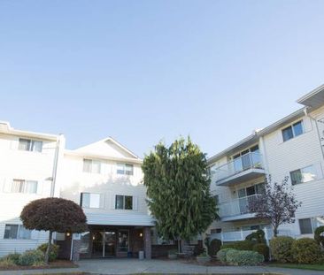 Friendly Community at Avinlea Court Apartments - Photo 1