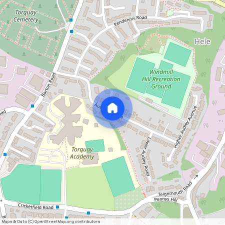 Audley Avenue, TQ2, Torquay