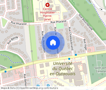 4 1/2 à Louer Proche De L'UQO - Mai 2025 - Photo 1