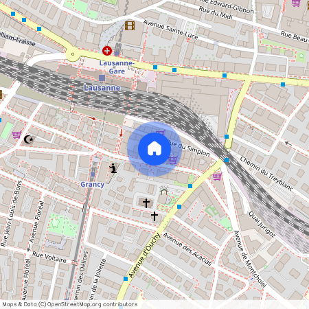 1006, Lausanne, Boulevard De Grancy, 8