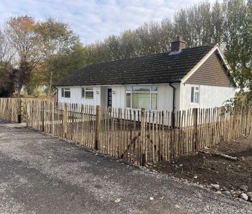 3 bedroom bungalow to rent - Photo 1