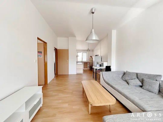 Pronájem prostorného a světlého bytu 2+1 (58 m - Photo 1