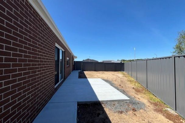 Stunning & Brand New - Photo 1