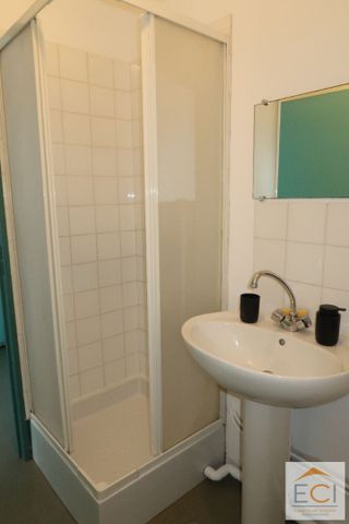 Appartement Limoges 1 pièce(s) 24.50 m2 - Photo 5