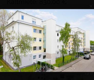 2 Zimmer Wohnung Bonn Auerberg - Photo 1