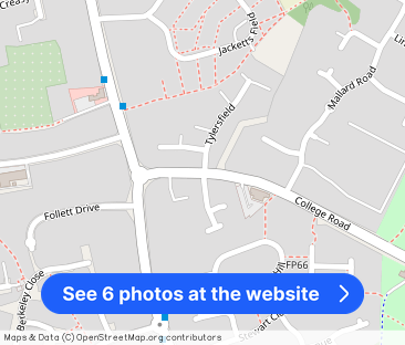 1 bedroom apartment for rent - Photo 1