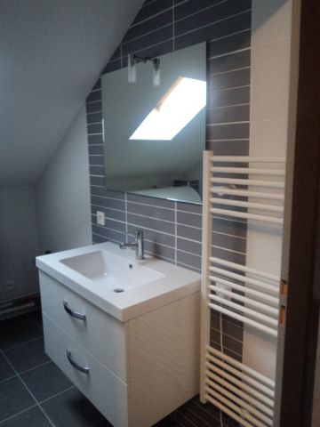 Location Appartement 3 pièces 50m² - Photo 4