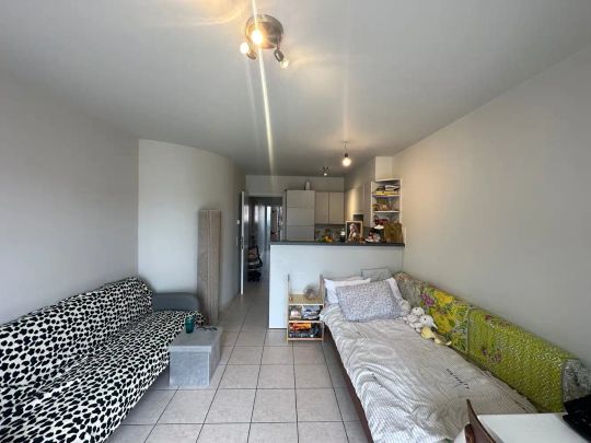 RESIDENTIE DISTELVINK - foto 1