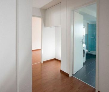 In der Abendsonne - Foto 5