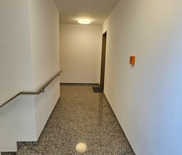 Schuch Immobilien – Moderne Gartenwohnung mit Luxusausstattung und ... - Foto 3