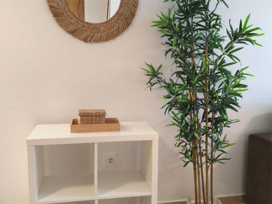 Piso de alquiler en Calle Martín Delgado, 7, Casco Antiguo - Photo 1