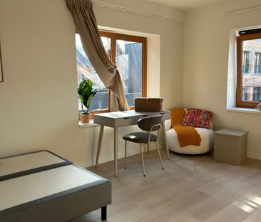 Spacious, fully renovated and furnished studio for rent in Mechelen. - Foto 2