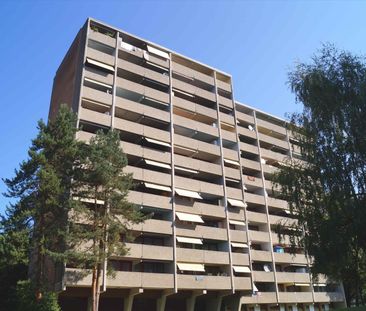 "Wohnen am Rhein" - Photo 3