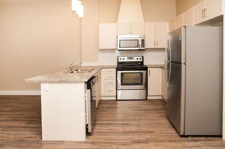 149 Main Street West apartment — Hamilton, ON (1-Bedroom) - 1 Bedroom - Photo 3